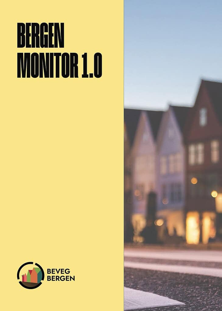 BergenMonitor MASTER Large